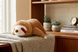 Іграшка м'яка Лінивець MeriToys 65 см SLOTH_65 фото 5